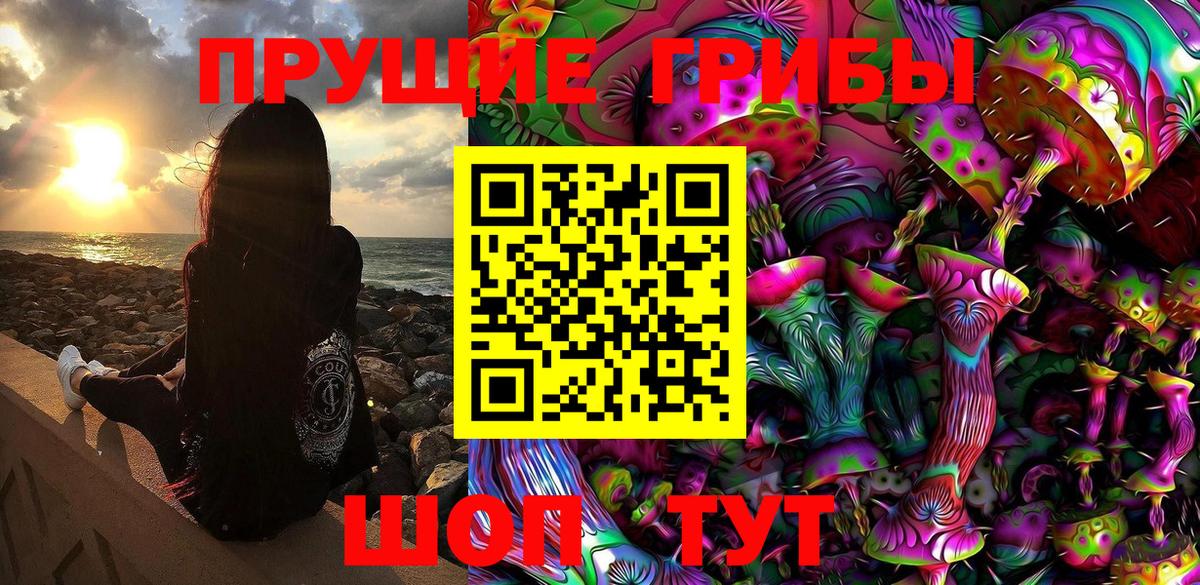 Псилоцибиновые грибы мицелий Сарапул