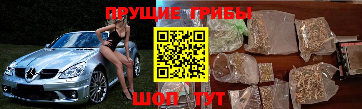 Сарапул  Галлюциногенные грибы мухоморы  Вход с VPN 